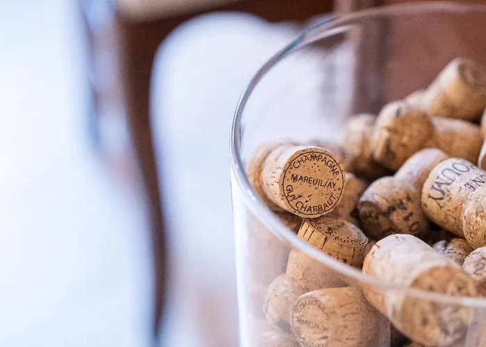 Le Champagne Palace - Hyper Centre D'epernay Апартаменты *